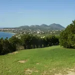 Charly Point