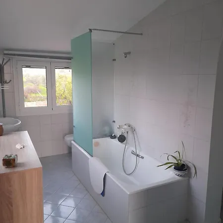 Charly Point * 메토니