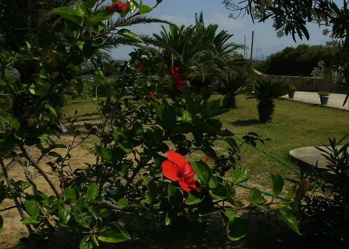 Dom wakacyjny Charly Point *